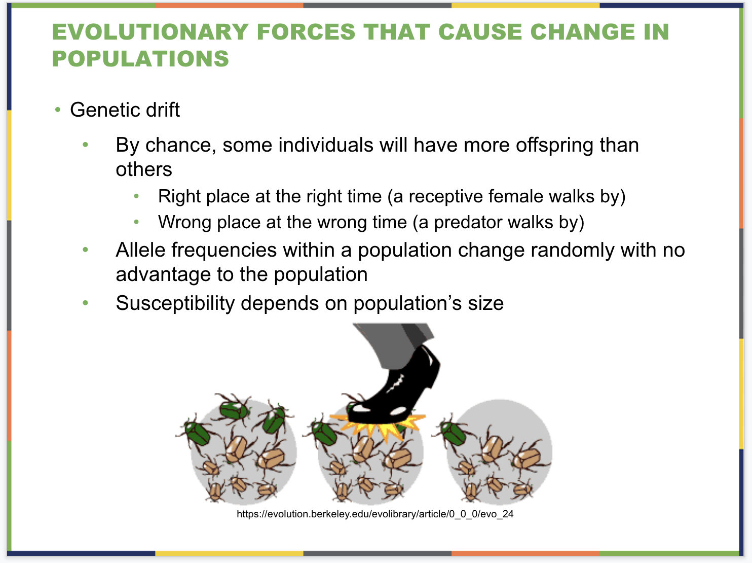 Evolution of Populations Slide